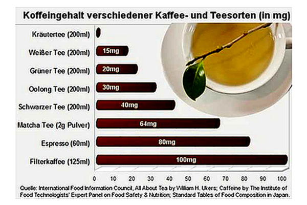 Design ohne Titel (18)