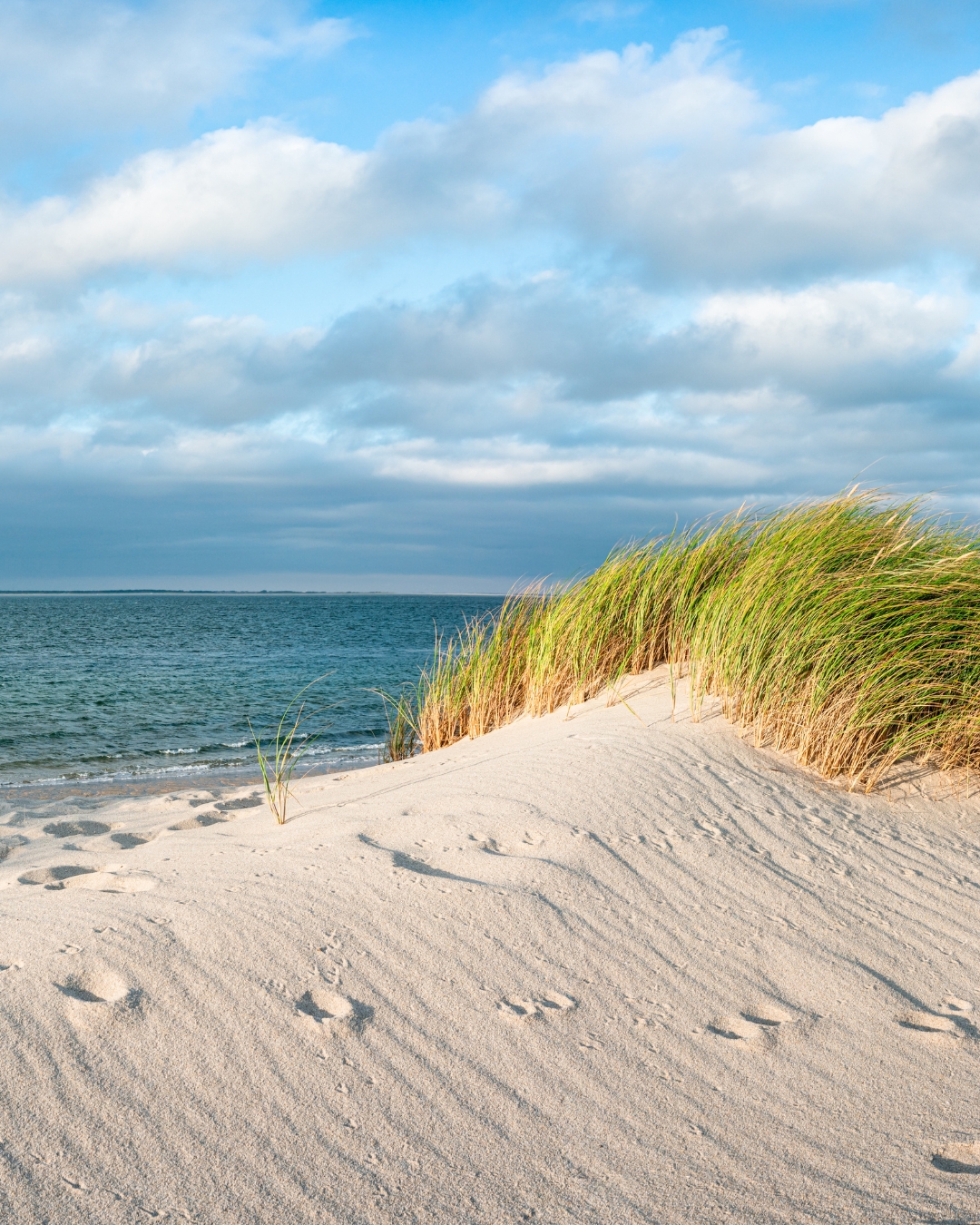 Wie der Tee nach Sylt kam